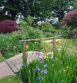 Closed for the Winter - The nursery opens by appointment from 1st April 2025