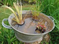 Pond in a pot plant pack